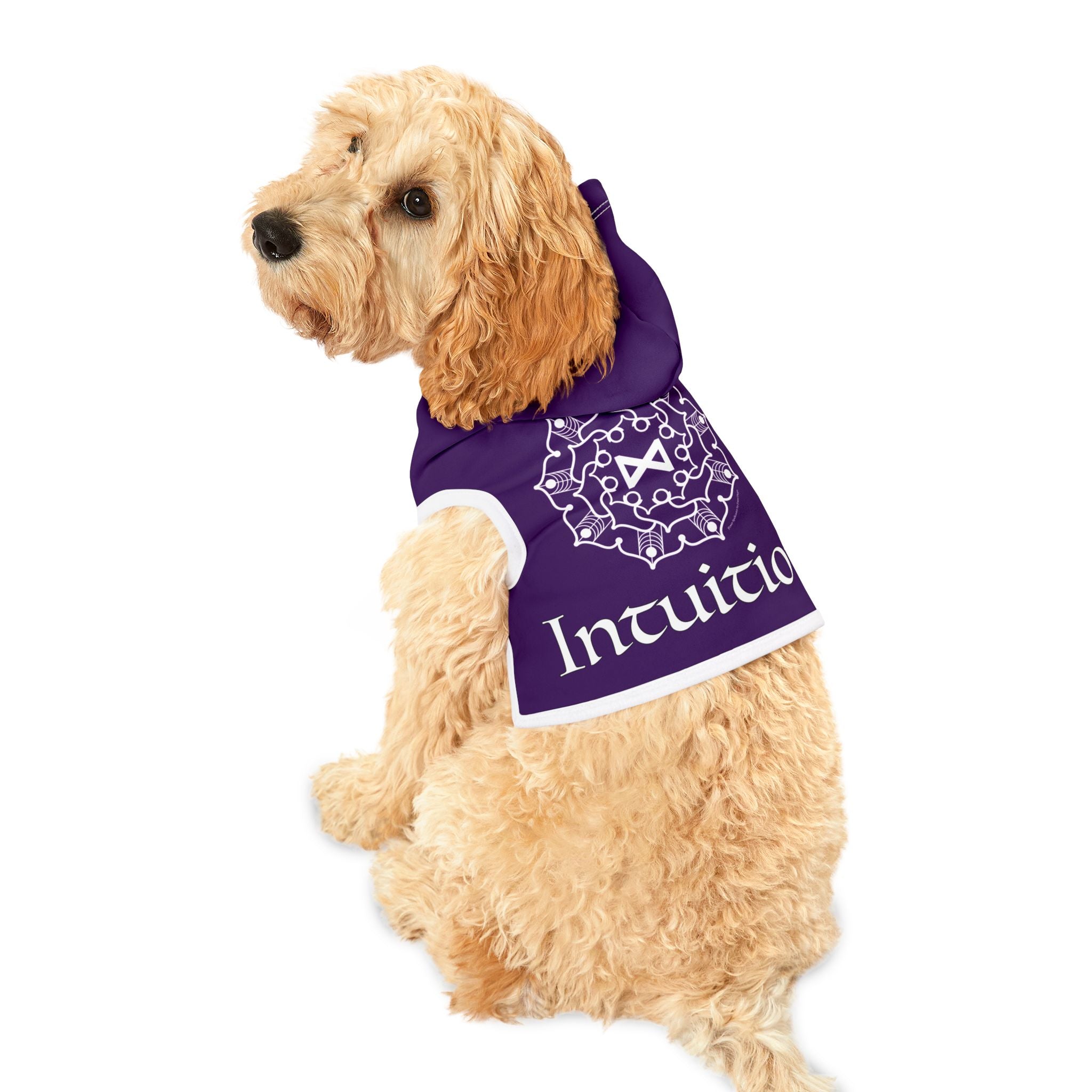 Spellcaster Pets by Patti Negri Dog Hoodie - Intuition